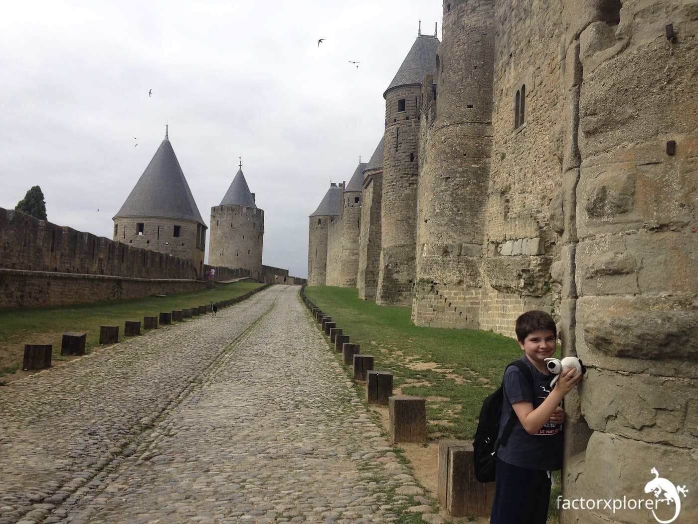 carcassonne y alrededores -muralla
